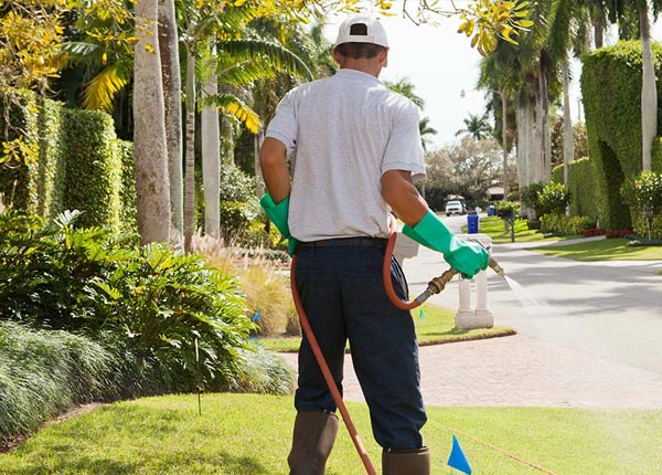 About Caraway AR Pest Control Pros